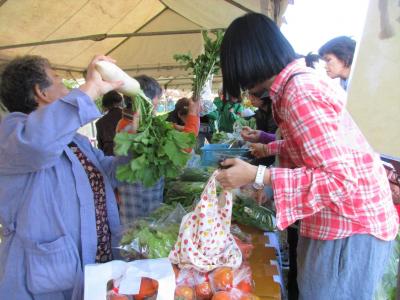 野菜を購入する様子