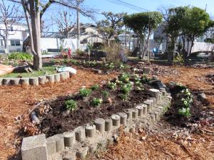 高槻市立富田小学校の花壇（整備後）