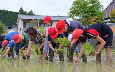 樫田小学校田植え風景