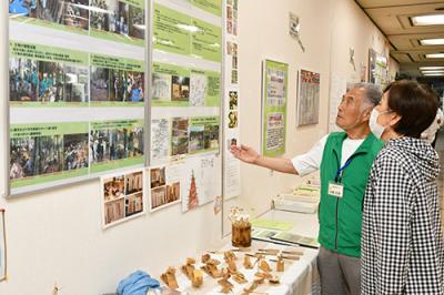 展示会