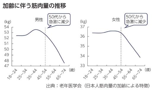 加齢に伴う筋肉量の推移