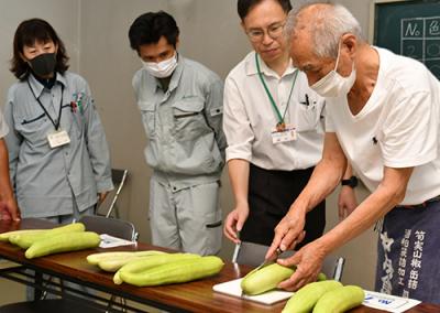 シロウリを半分に切り、品評を行う審査員