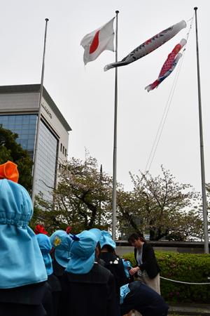 こいのぼり掲揚