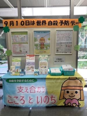 展示写真
