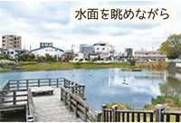 小寺池「水面を眺めながら」