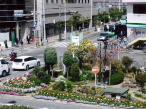 NPO法人 花と緑のまちづくり 高槻景観園芸クラブの画像2