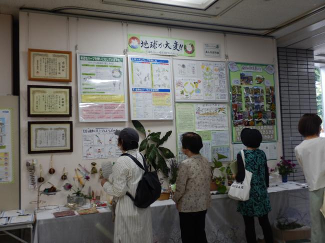 植物に関する展示