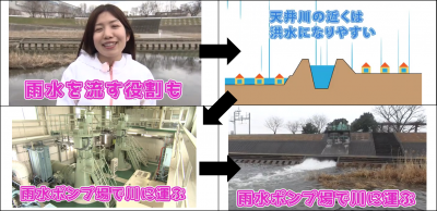 下水道が持つ雨水を流す役割について解説している画像です。