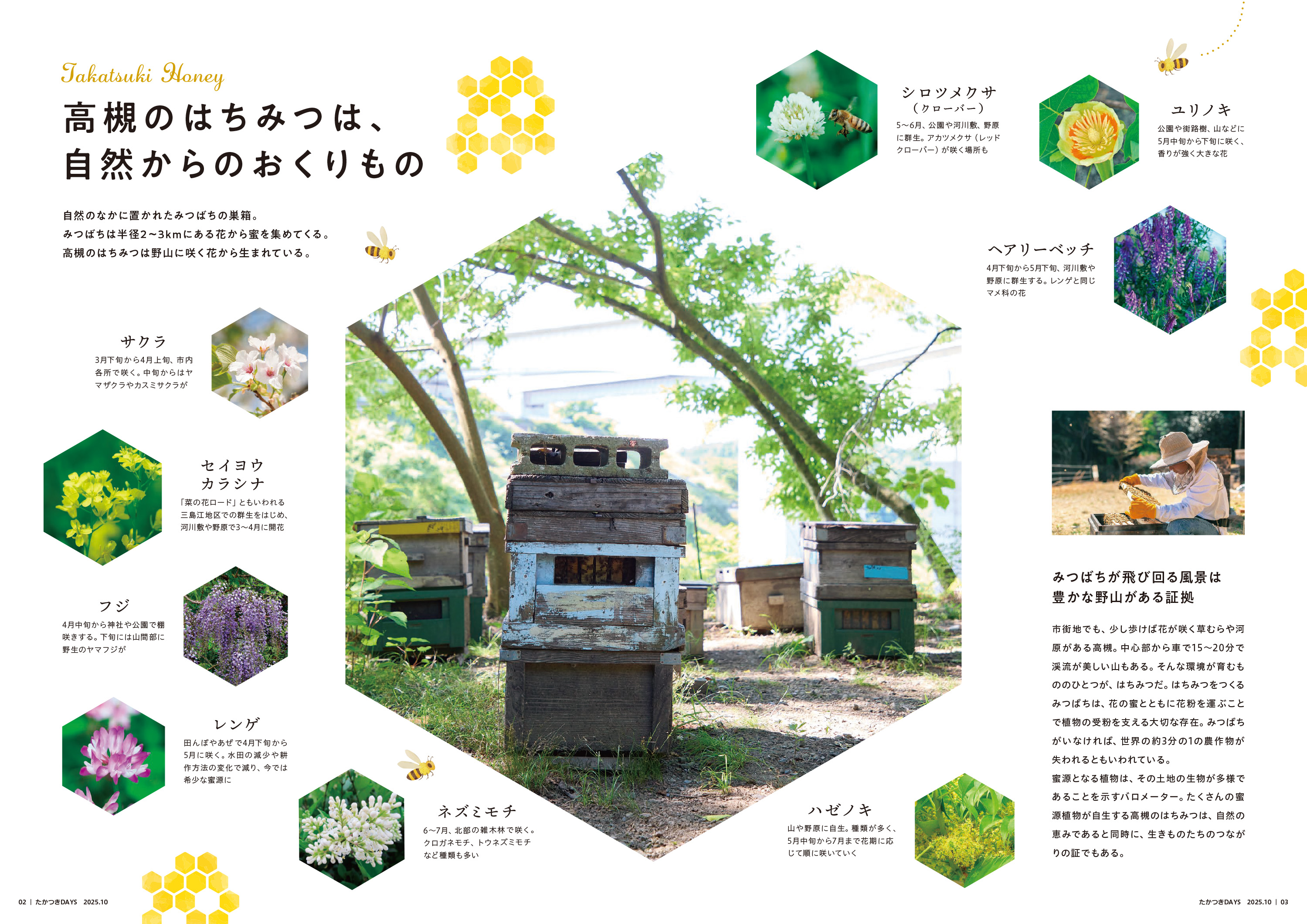 たかつきDAYS10月号2・3ページ