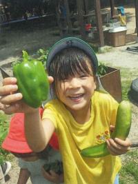 梶原ピッコロ保育園の写真