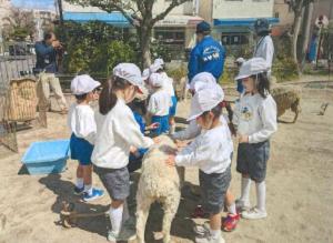 柱本保育園の写真