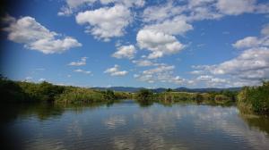 芥川1号井堰魚道から見た北側の景色