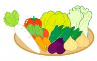 野菜のイラスト