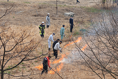 一斉に点火する様子