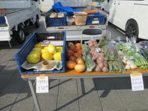 夏野菜