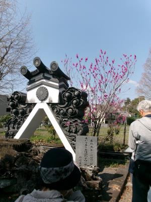 富寿栄の松　根跡