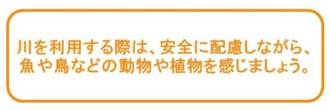 川を利用する際は、安全に配慮しながら、魚や鳥などの動物や植物を感じましょう。