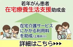 若年がん患者在宅療養生活支援