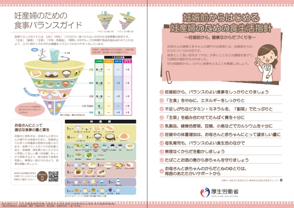 妊娠前からはじめる妊産婦のため食生活指針表の画像
