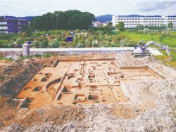 津之江南遺跡(平成10年撮影)