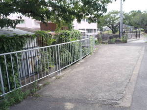 施工後(新しくなり高さも改善された柵)の写真