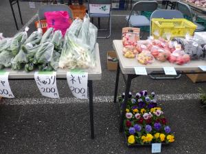 秋野菜、花