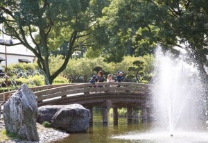 城跡公園南エリアの池