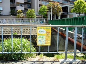 ポイント3　女瀬川と氷室川との合流点