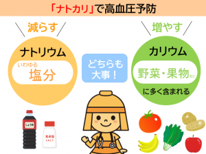 「ナトカリ」を説明するはにたん
