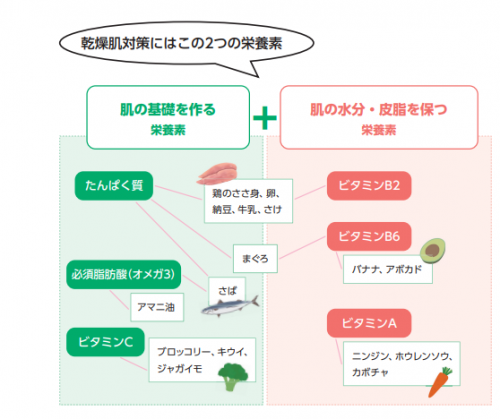 乾燥肌に効果のある食材例